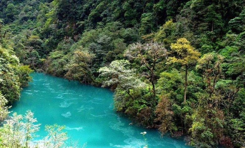 你能逃离此地吗